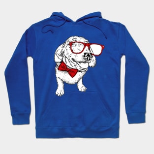 Portrait of a dog or puppy with glasses and tie Hoodie